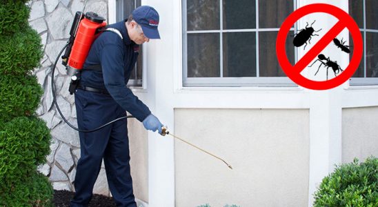 Erdek Dezenfeksiyon böcek ilaçlama ve haşere kontrolü — ilaclama-tr.com